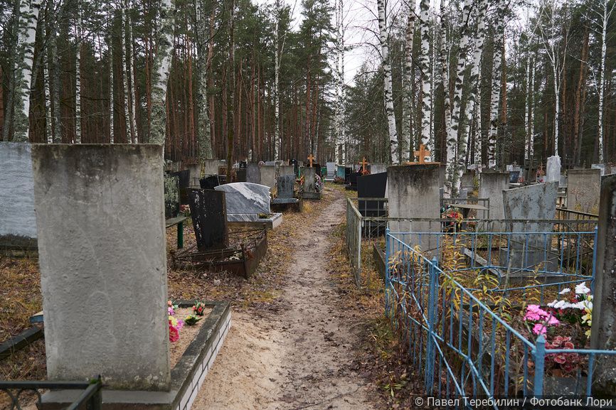 Омские кладбища спасут от крыс и клещей